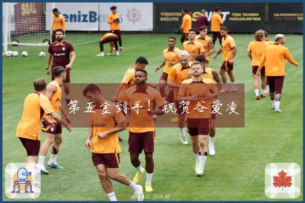 第五金到手！祝贺谷爱凌