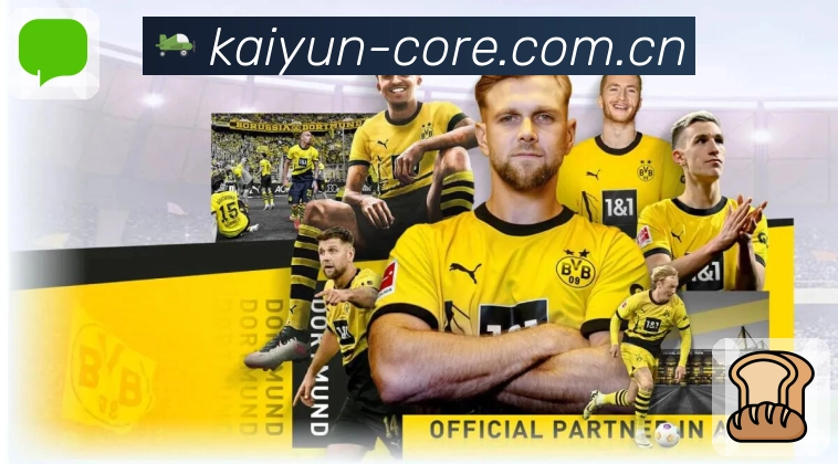 <strong>开云</strong>App预览